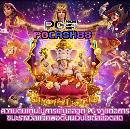 19 รับ 100 wallet